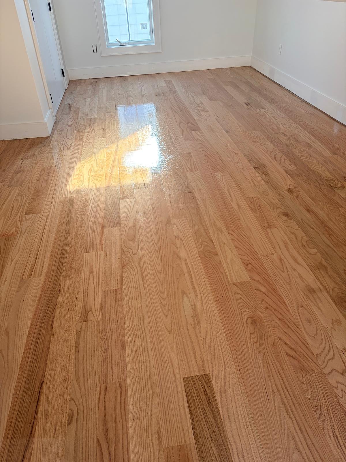 1e638a4c-c73a-4c53-834b-06d865d2318f