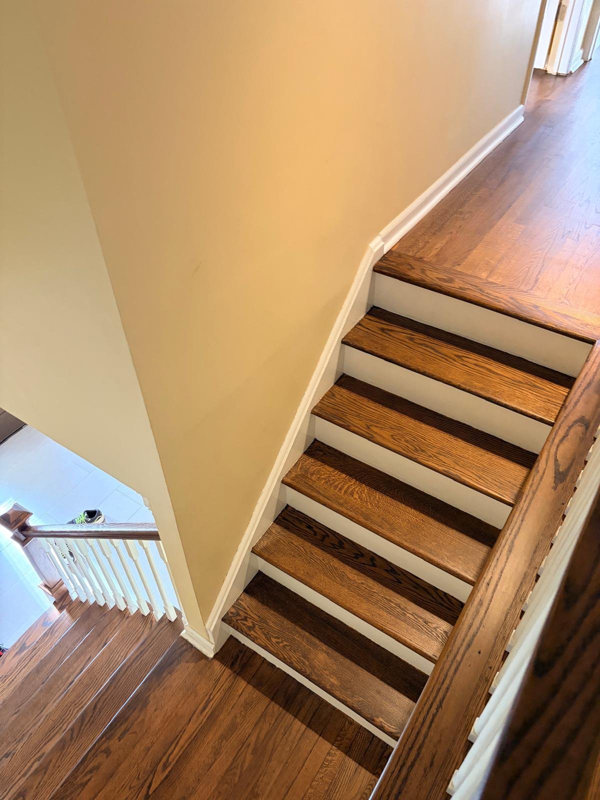 51d9f1c9-c9ea-4eb9-9d50-ca34a8a5ff40