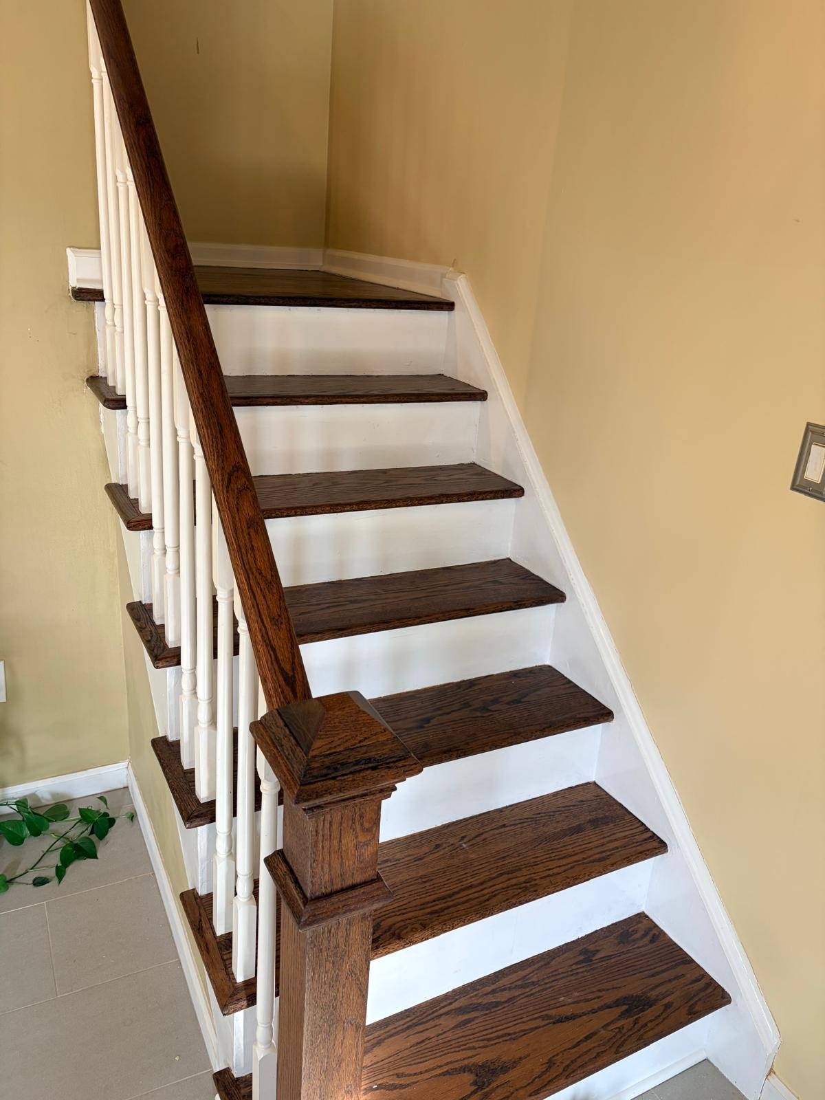 5c15b8ac-235b-4932-b604-73ad48056874