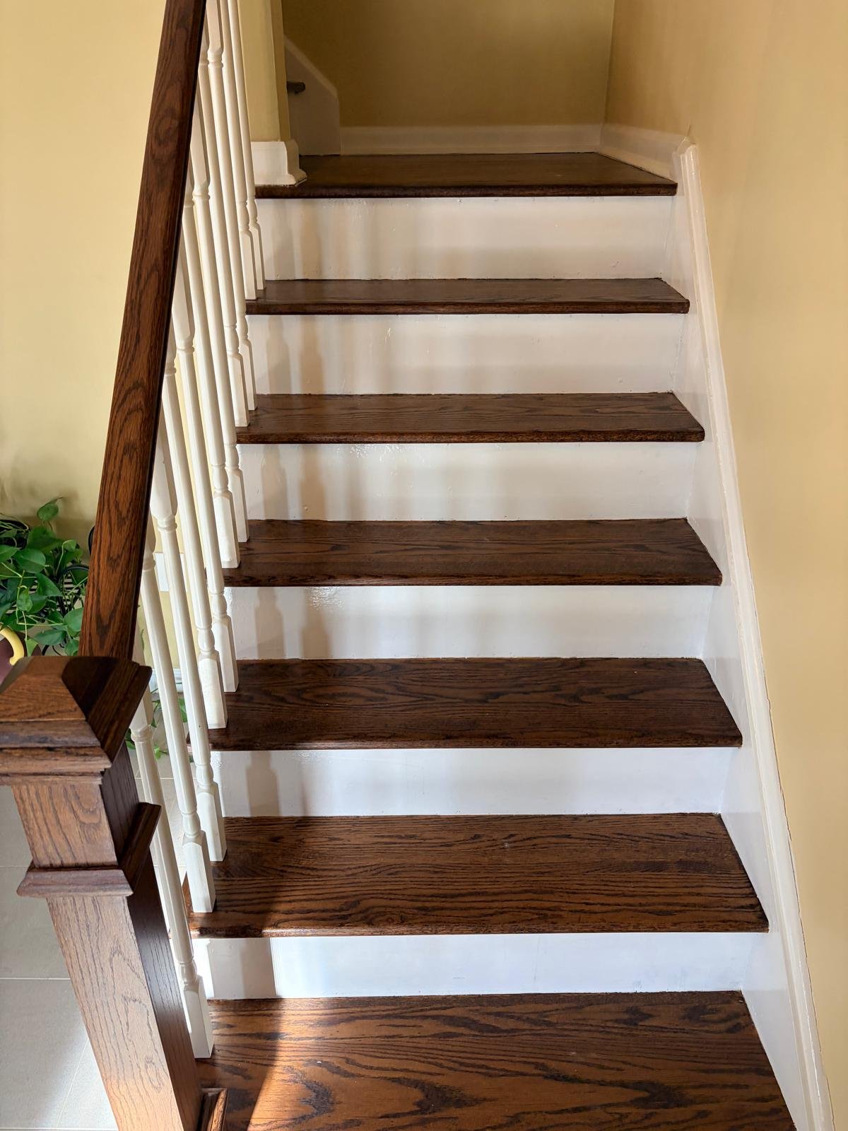 b37af19e-5e38-4911-a9d4-128295876e4a